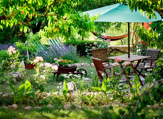 5 Ways to Turn Your Backyard into a Calm Oasis