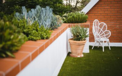 10 Types of Outdoor Plants That Look Great and are Easy to Maintain